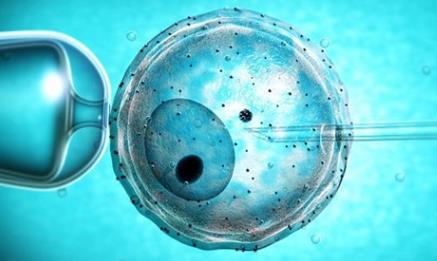 珠海试管婴儿生殖中心价格表是多少？（2024三代试管费用详解）