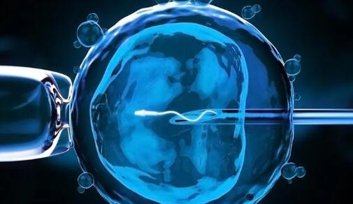 2024年肇庆最有名的三代试管婴儿医院可以成功吗（附详细三代试管成功率）