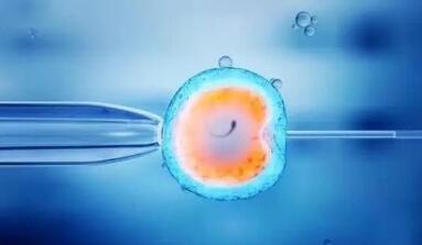 深圳试管婴儿医院费用多少钱？（2024三代试管费用和成功率）