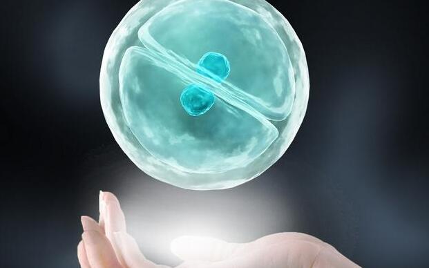 从云南到格鲁吉亚旅游三代试管婴儿价格表（2024三代试管费用和成功率）