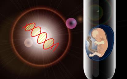 上海奉贤区做试管婴儿的医院有哪些?（附2024最新生殖排行榜详情）