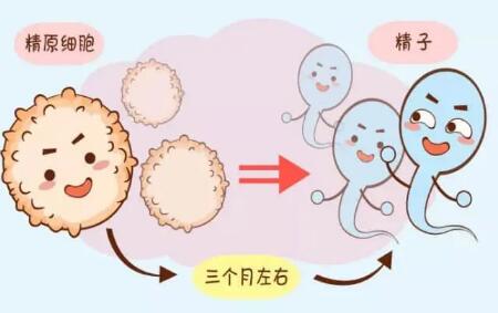 北京三代试管助孕费用清单表，教你如何省钱比较有效（三代试管婴儿费用价格参考）